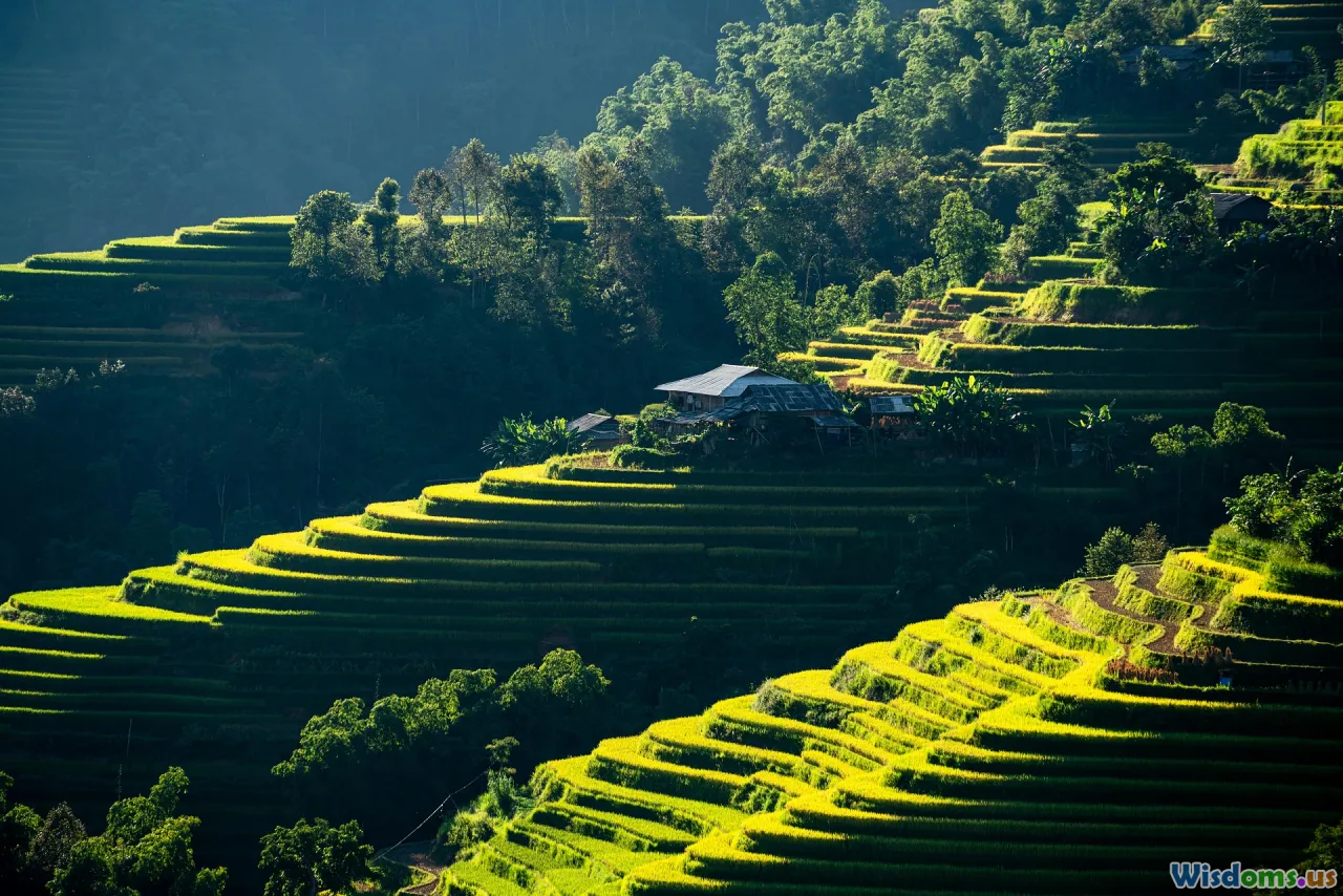 plateau, biomechanics, fatigue, adaptation