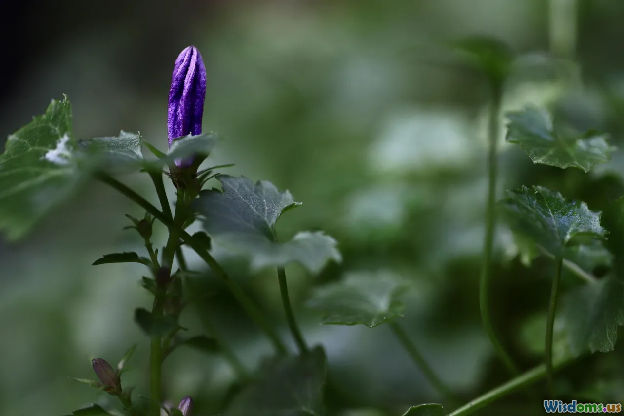 prevention, healthy family, early intervention, outreach