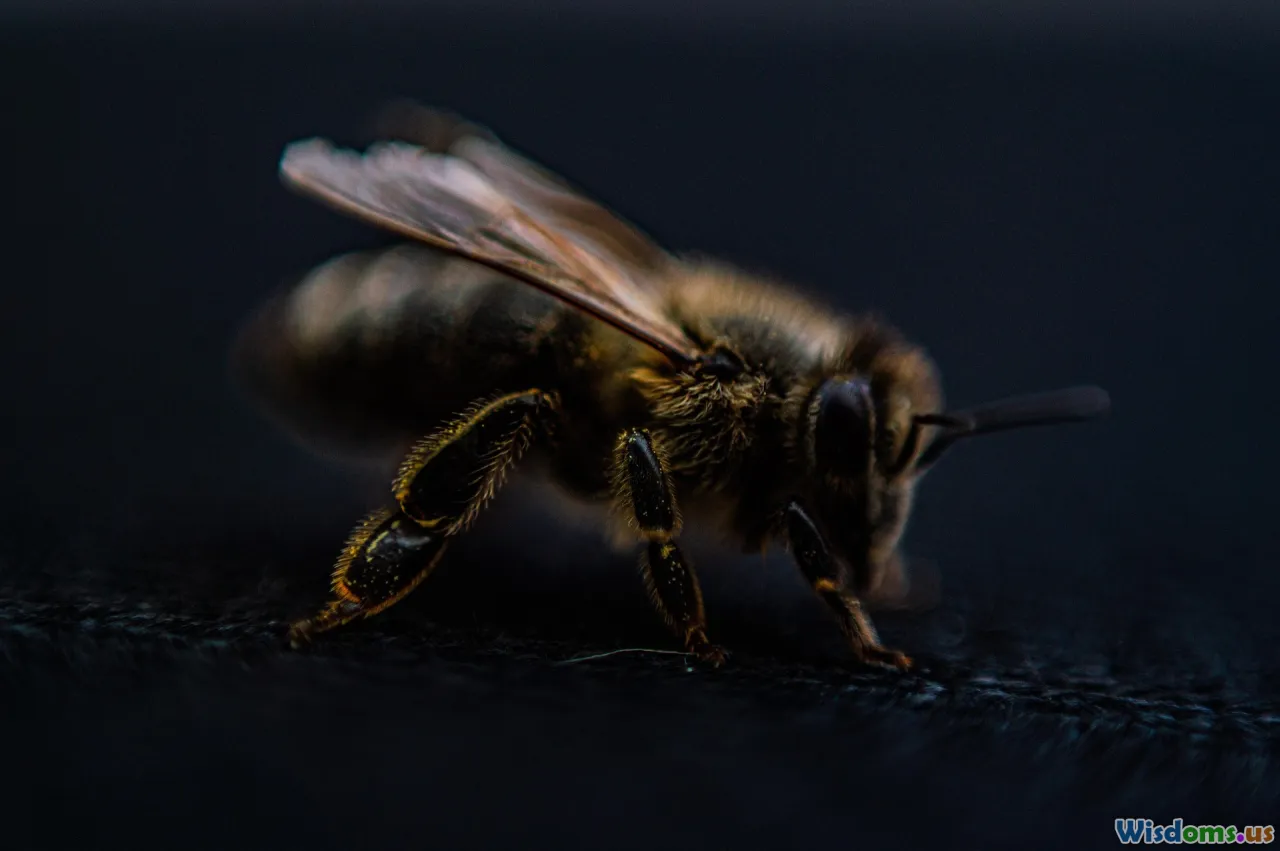 procrastination, priorities, focus