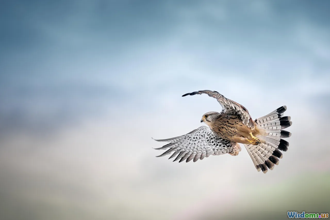 raptors, forest hawks, apex predators, woodland hunting