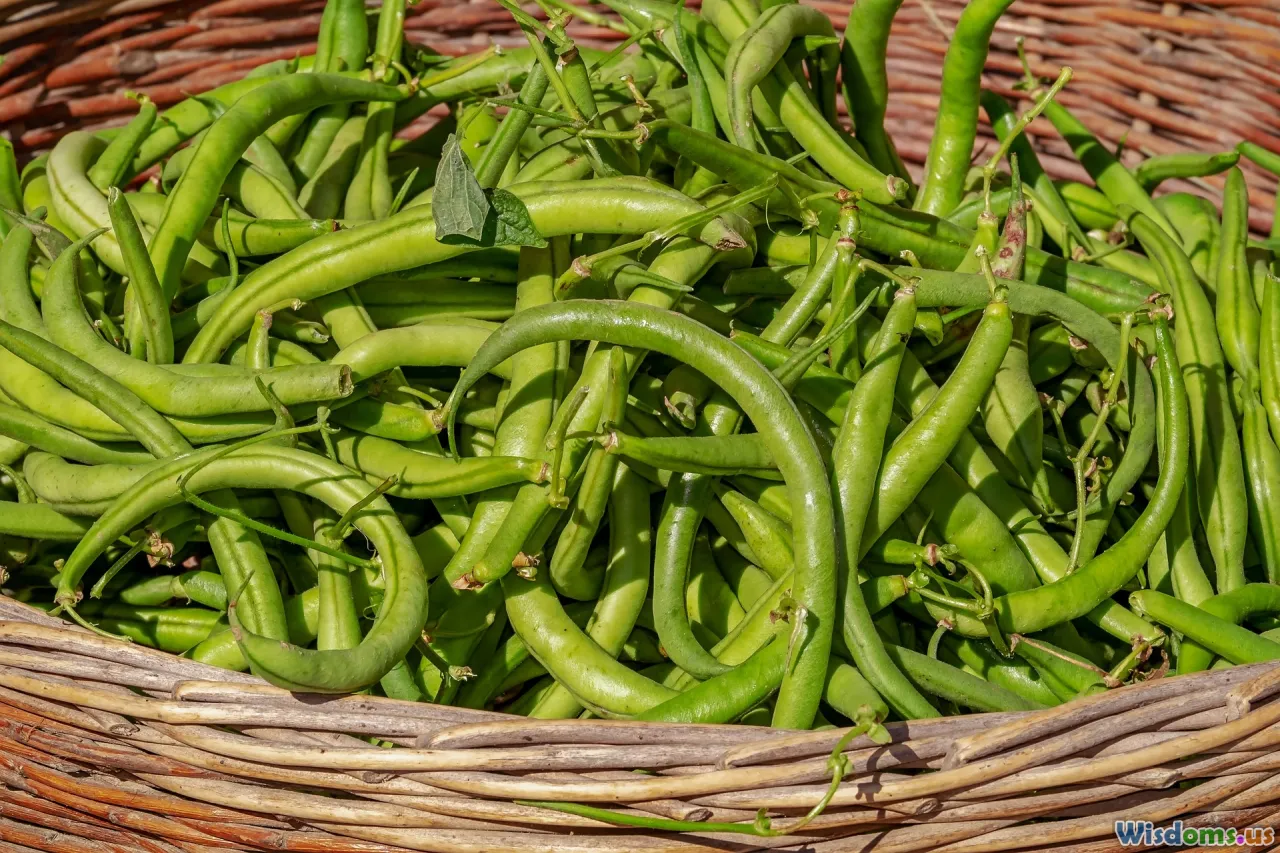 Urban Food Deserts How Rooftop Gardens Offer Hope