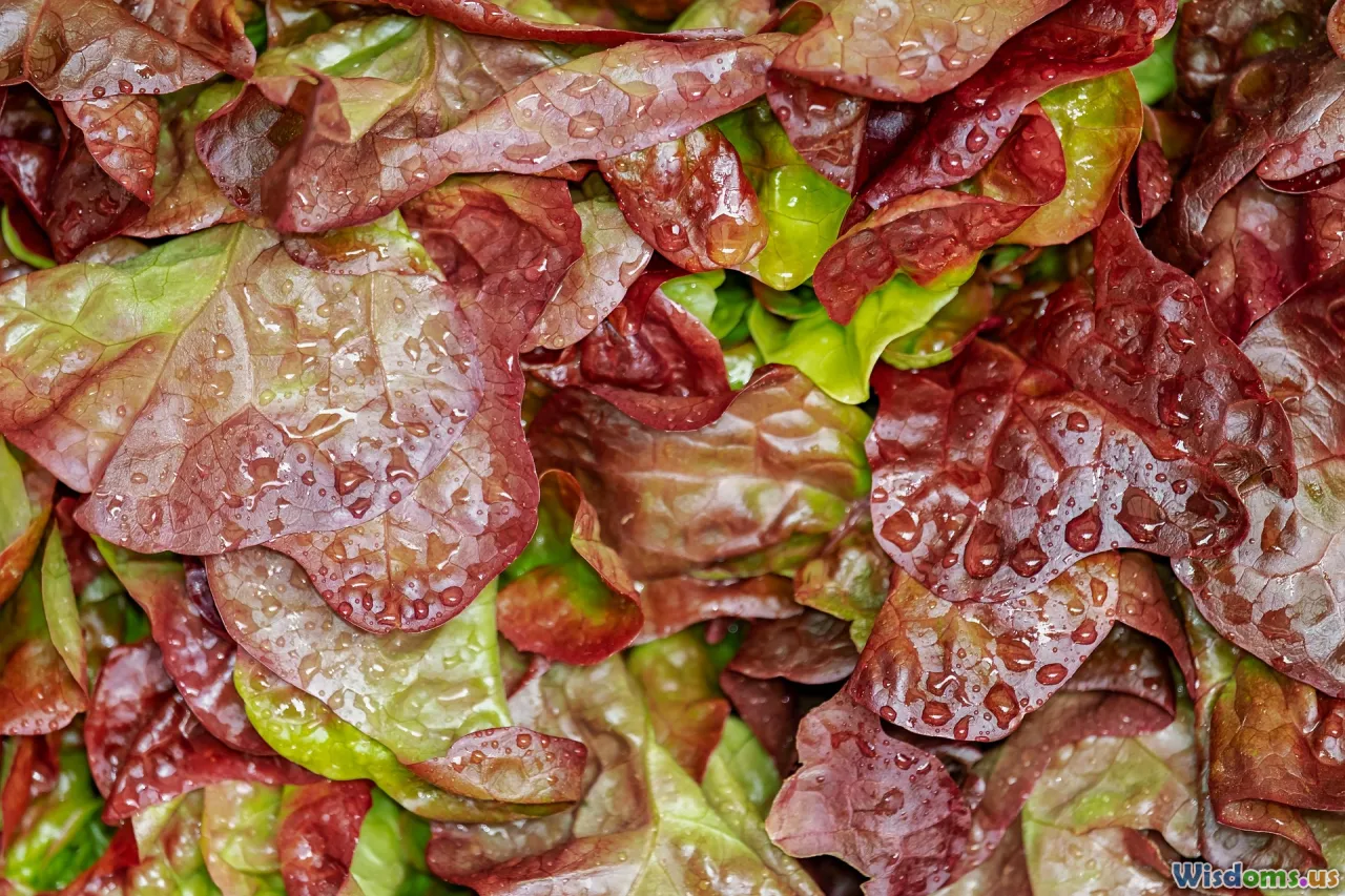 salad spinner, washing greens, prepping salad
