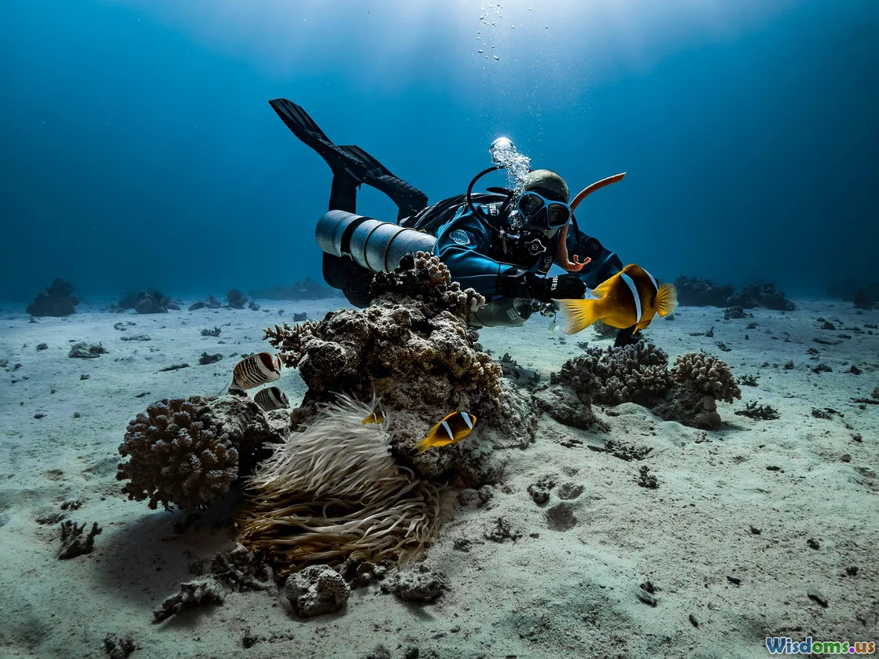 Underwater Adventure Stories from Seasoned Divers