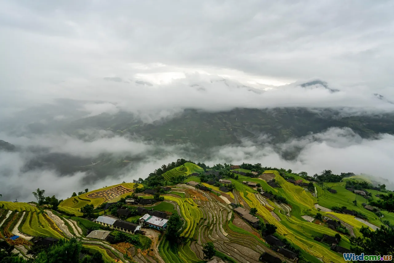 step by step, checklist, productivity