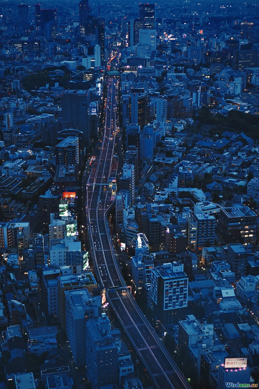 streets, city grid, aerial view, urban planning