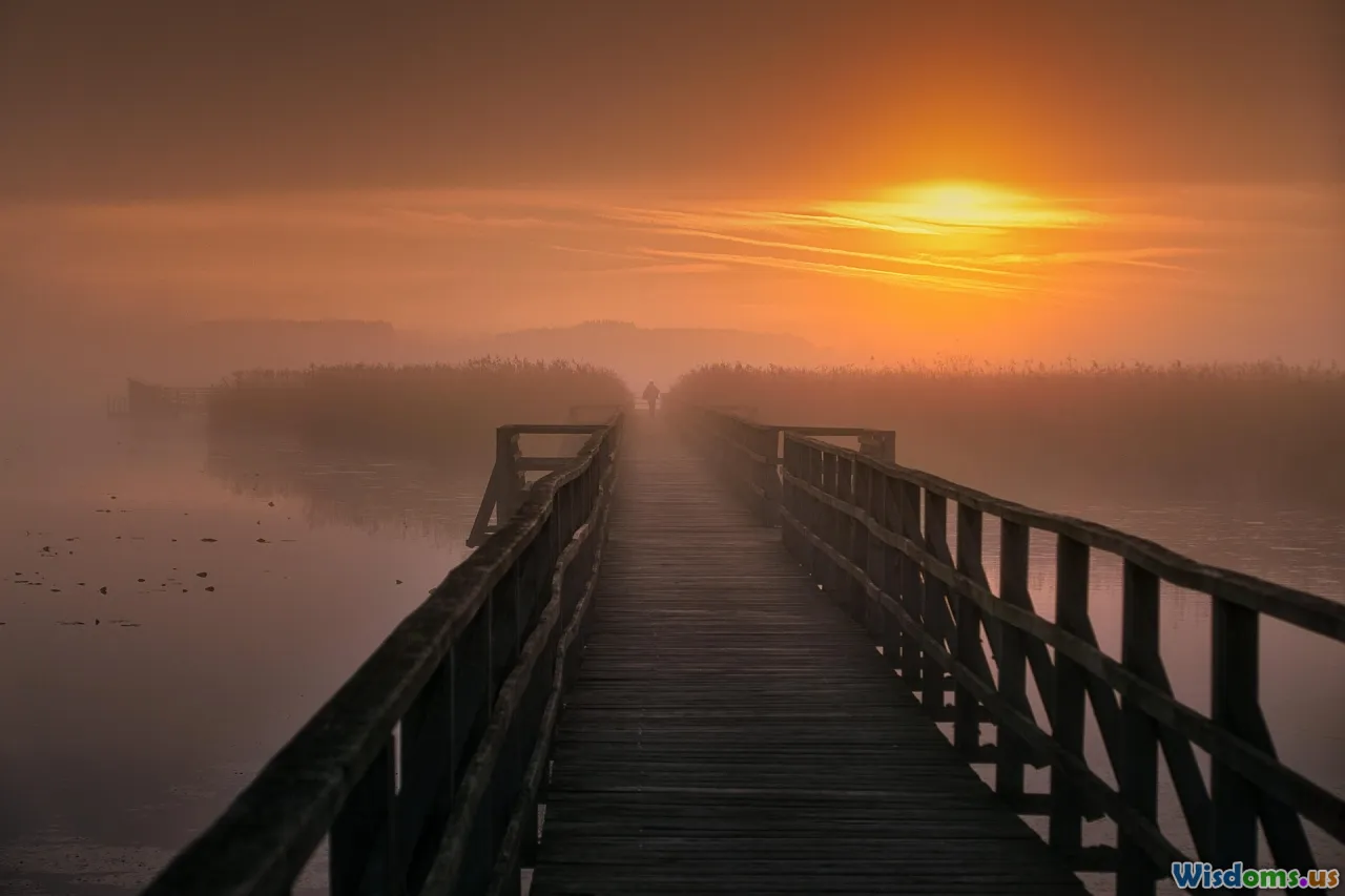 sunrise, pathway, resilience