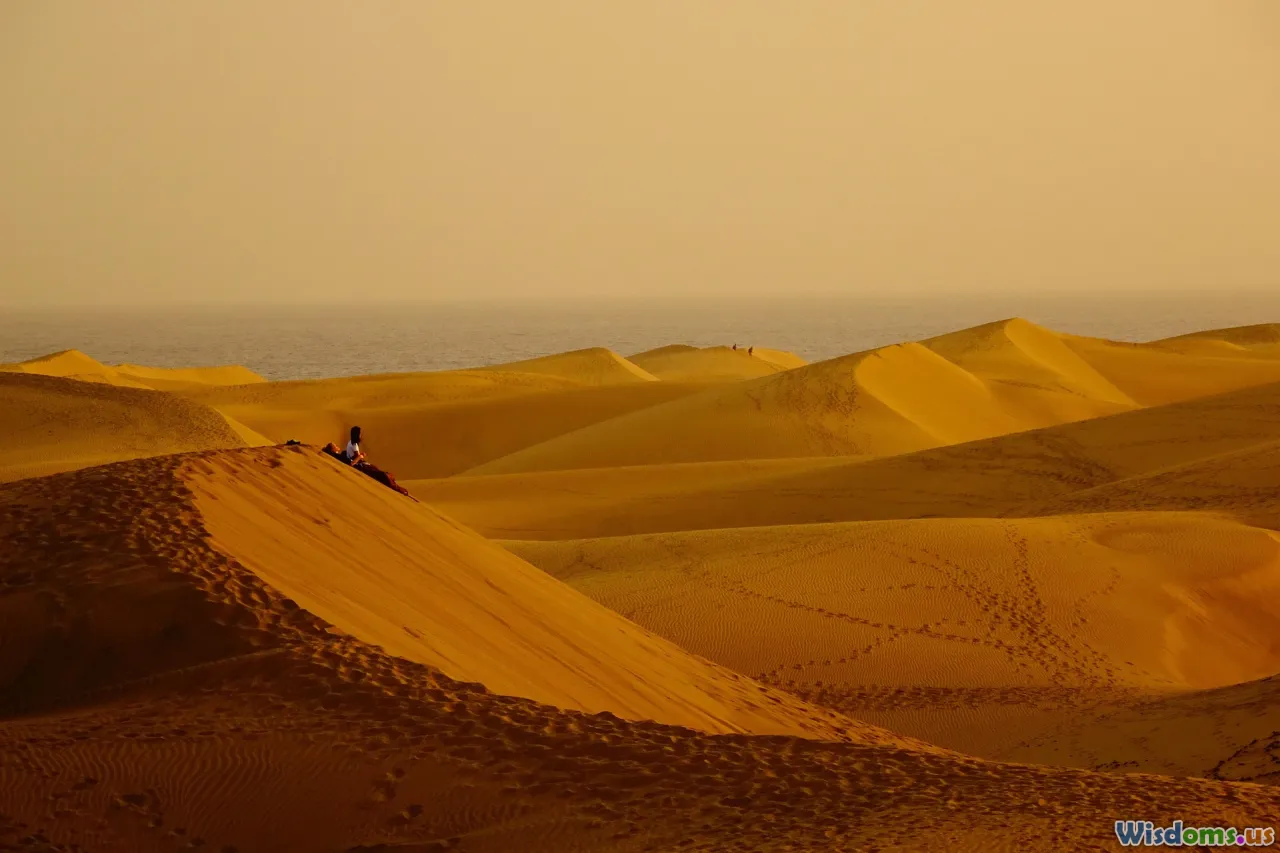 sunrise, recovered survivor, desert landscape