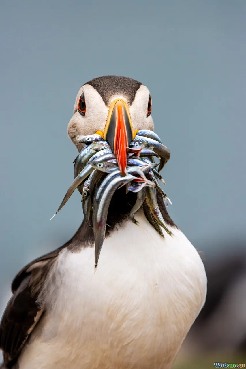 supercomputing, lattice qcd, simulations, theory