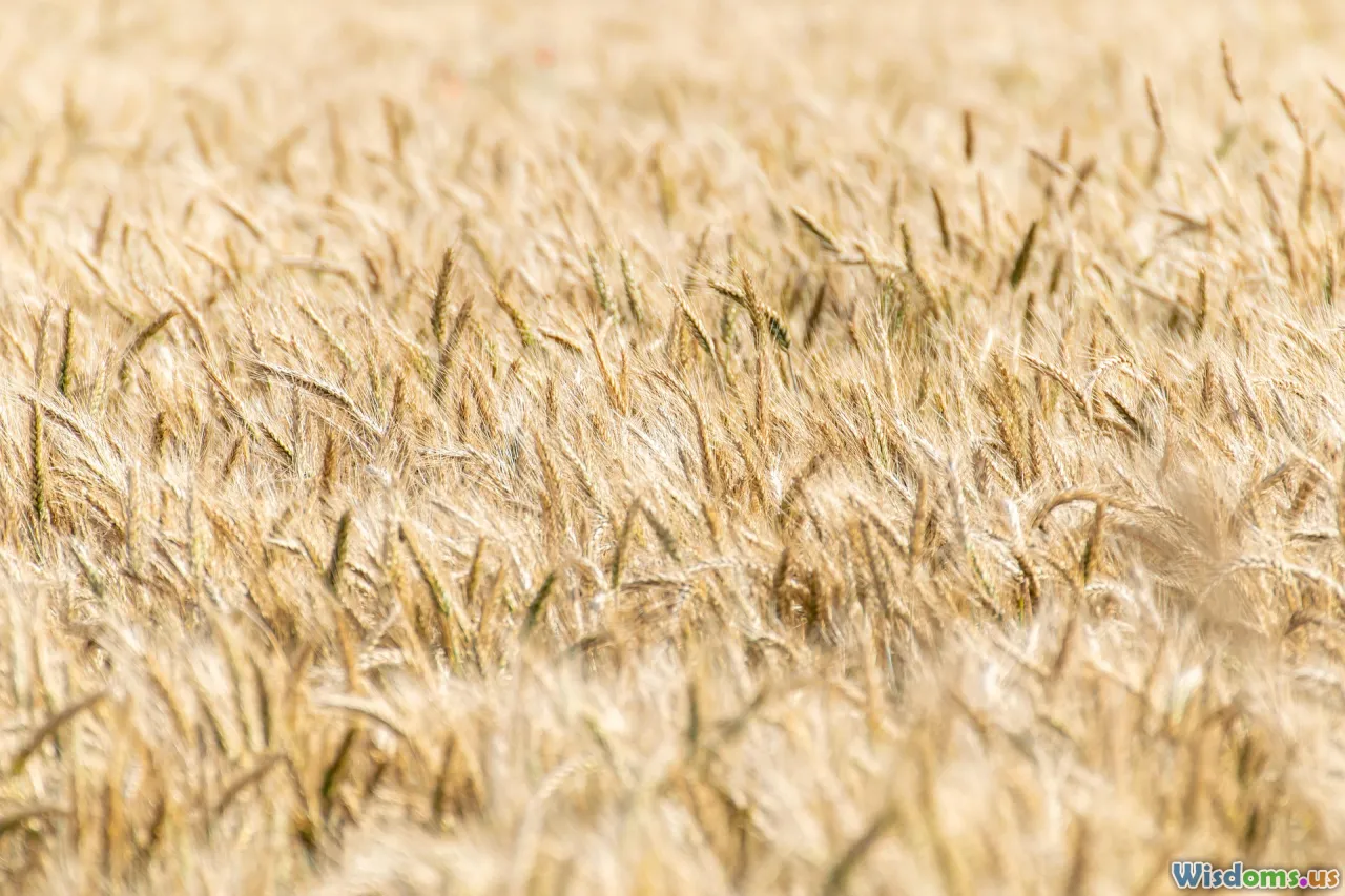 sustainable food, future food trends, insect farming, environmental impact