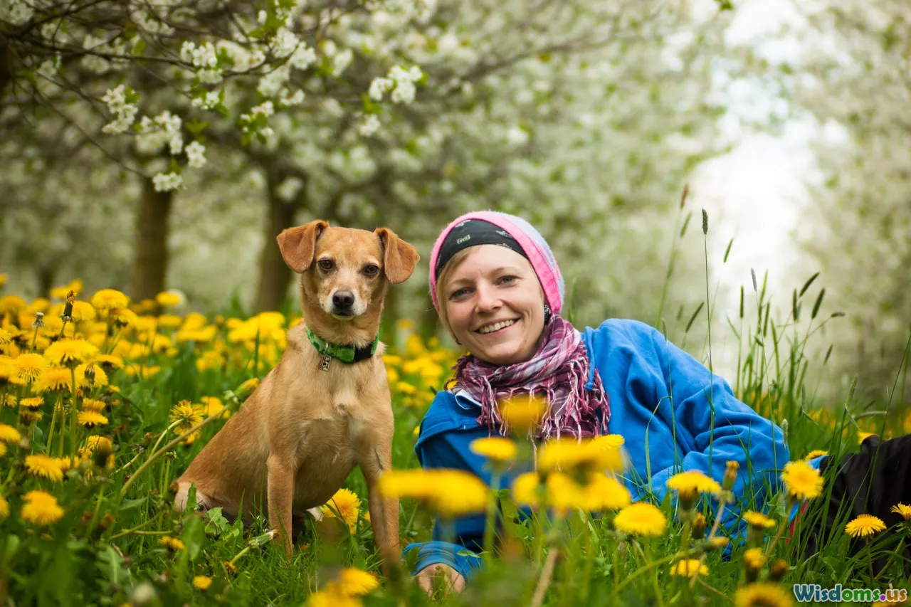 teamwork, communication, leadership, human skills