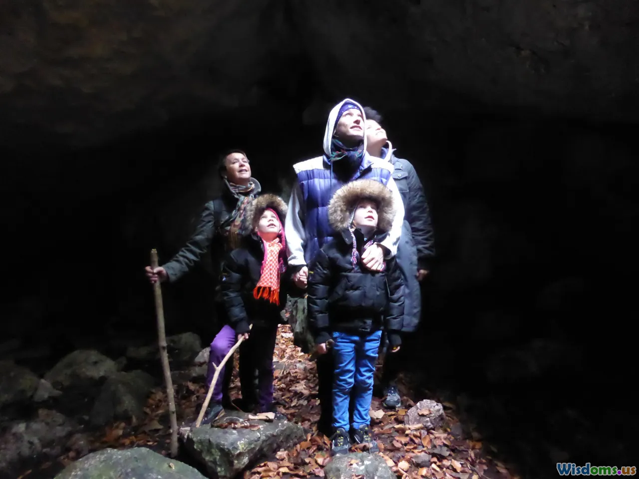 tour group, guide, sightseeing, excursions