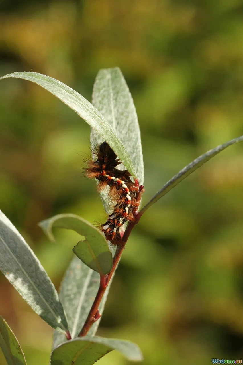 transformation, metamorphosis, waves, evolution, adaptability