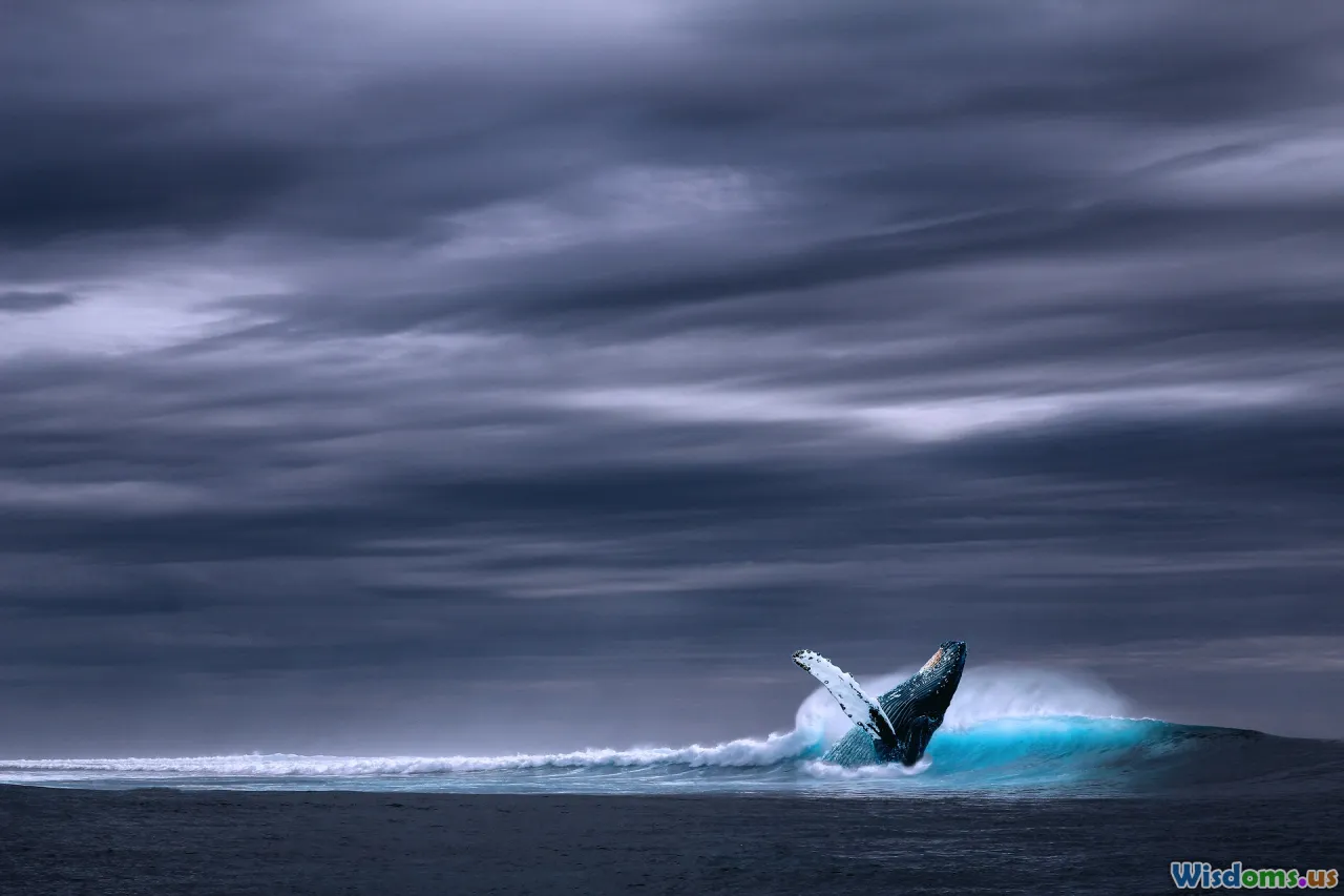 Spotlight on Whale Watching How Regulation Protects Marine Life