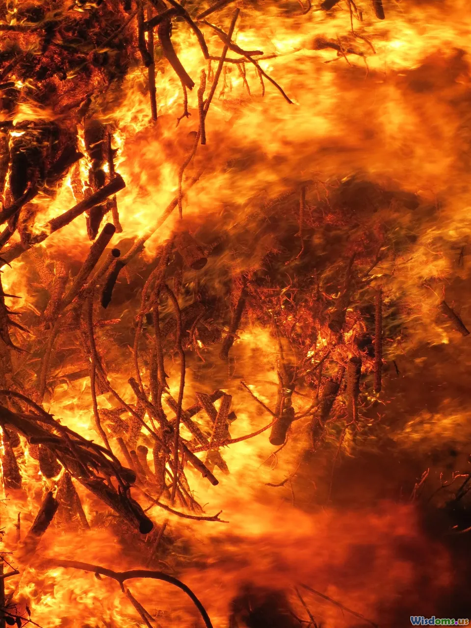 wildfire, burning, amazon, smoke, charred forest