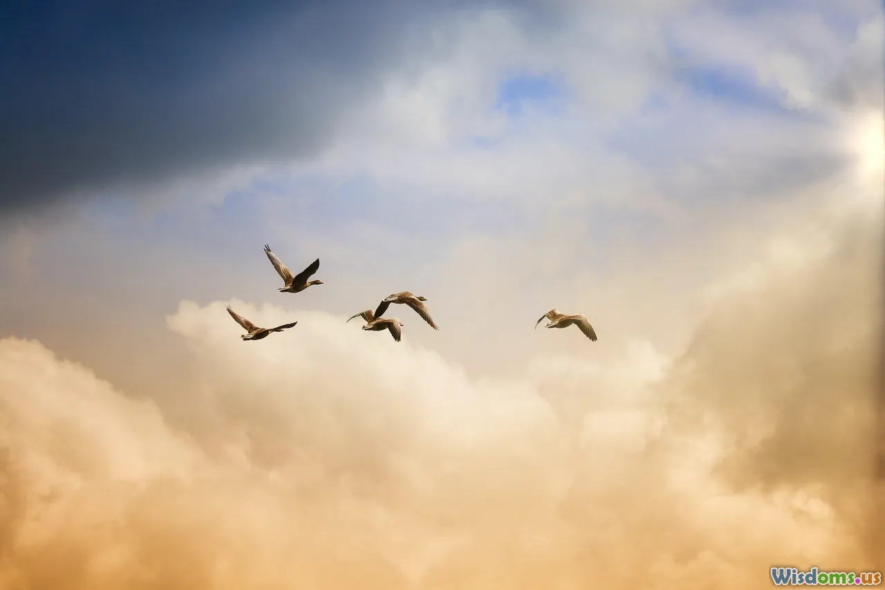 wildlife-success, freedom, happy-animal, animal-release