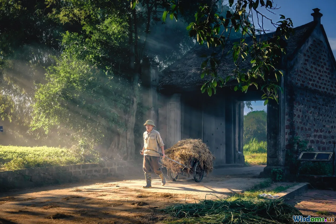 writing routine, morning sunlight, journaling