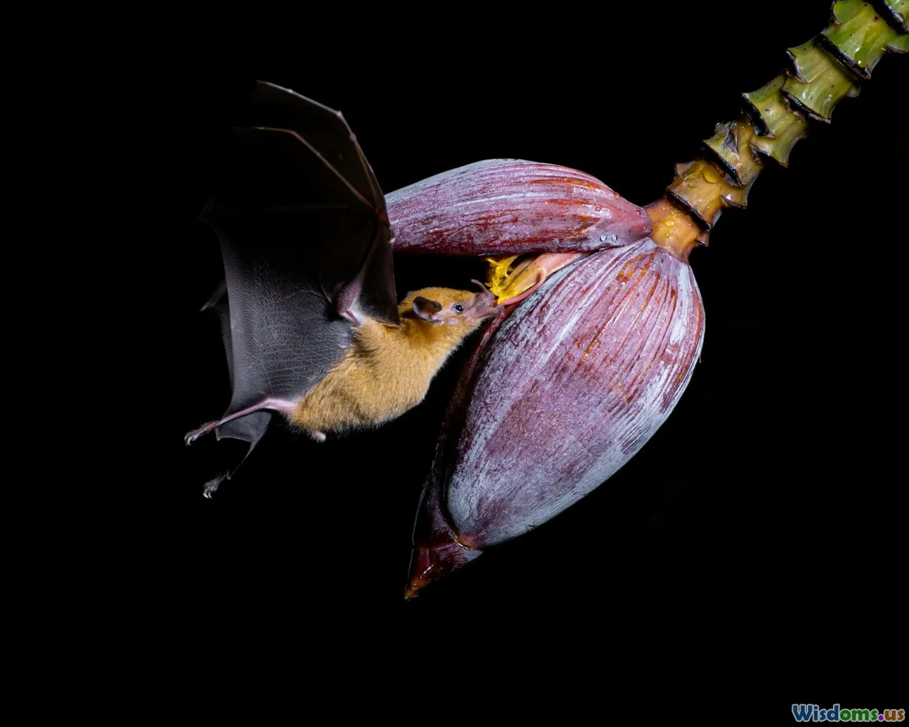 bats, pollination, pest-control, ecosystem