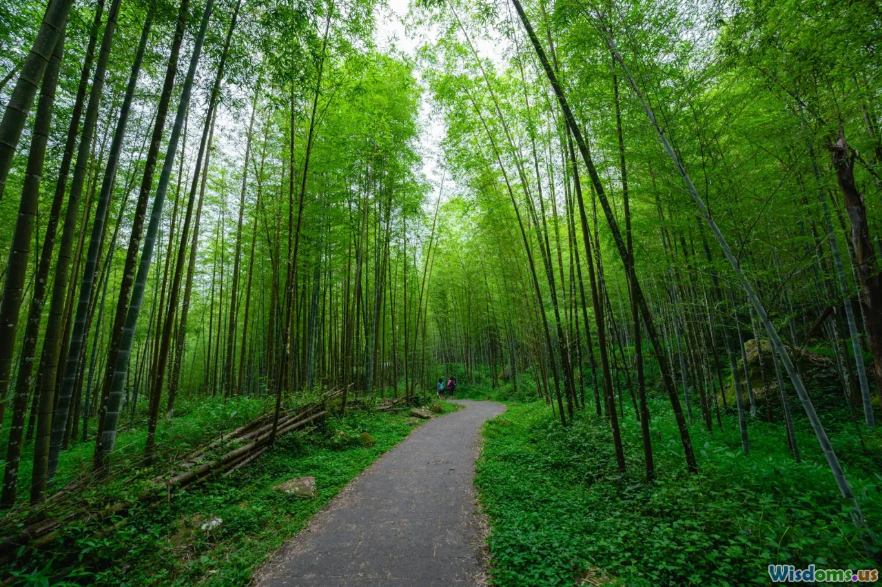 beginner streamer, zero viewers, growth, path