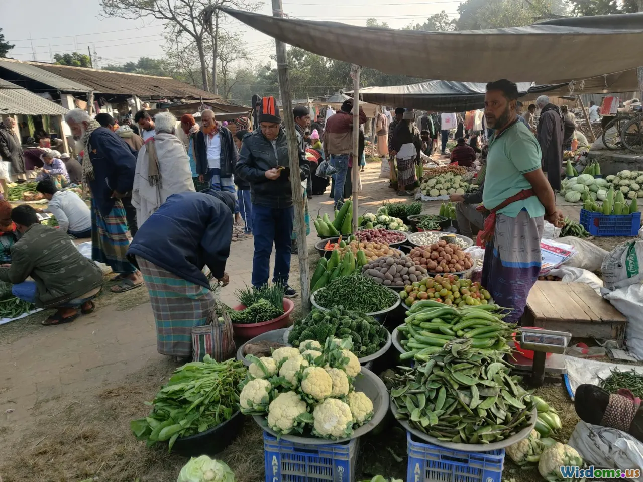 cauliflower, potatoes, blender, puree