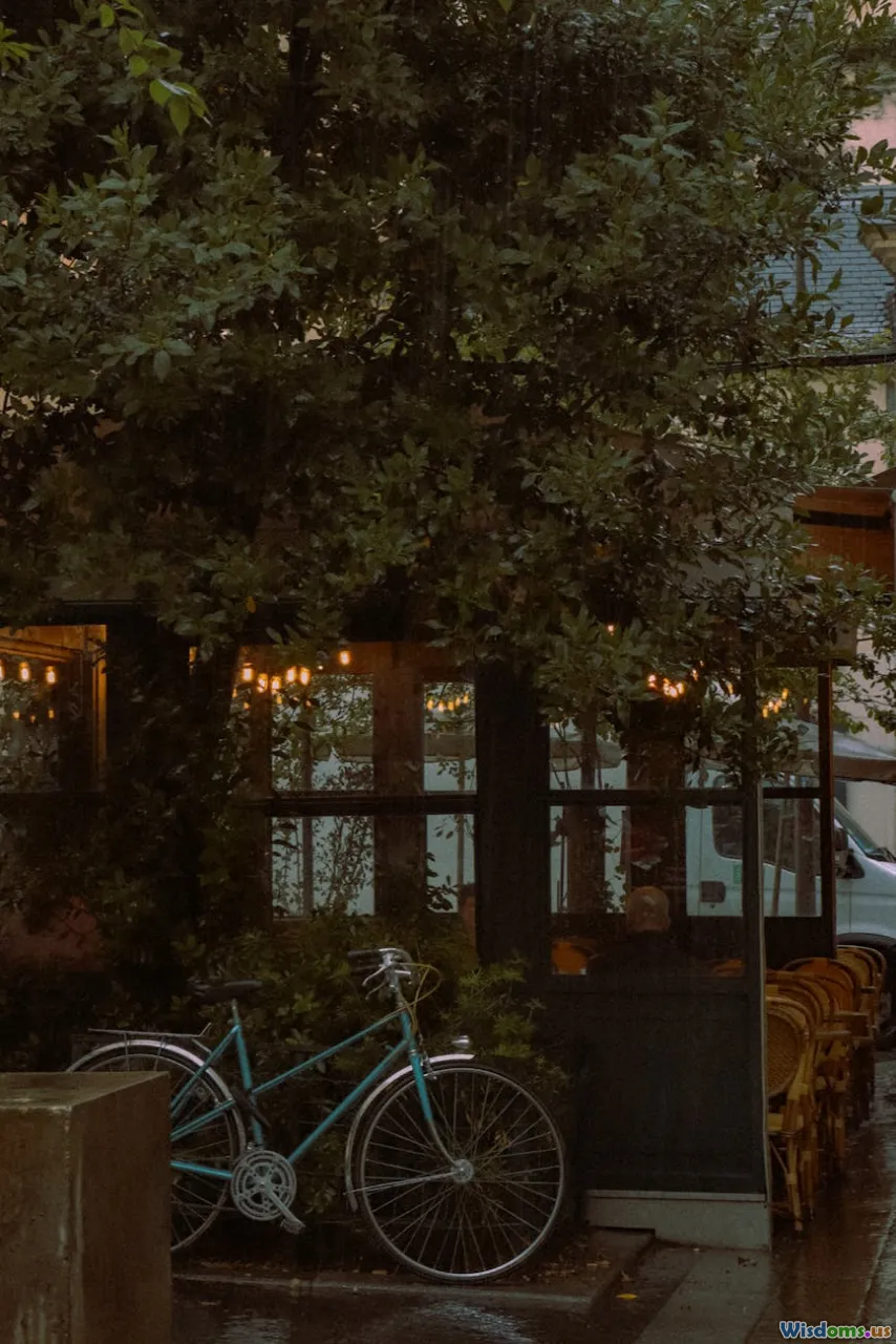 comparison chart, class vs struct, decision tree, app architecture