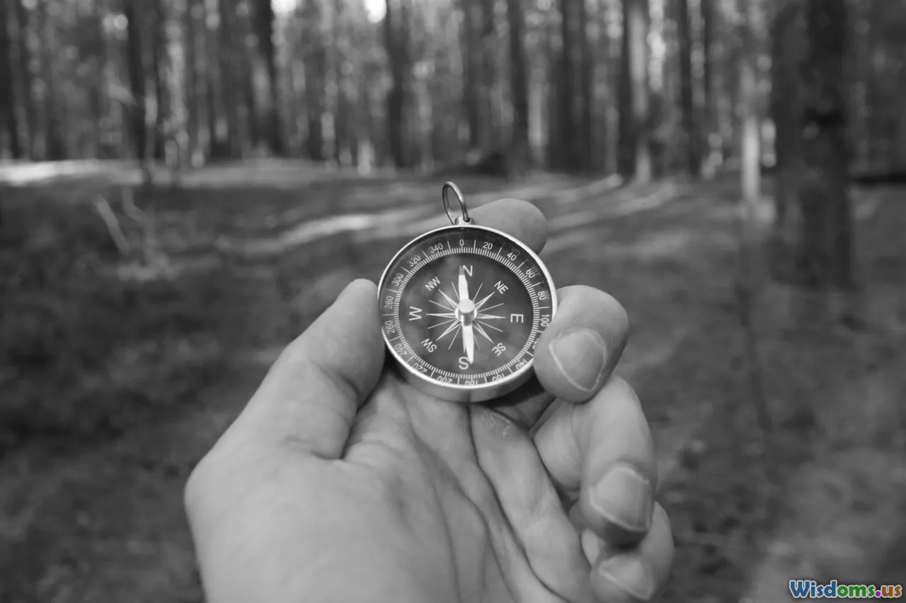 Which Is Faster Compasses or Sun Tracking Methods