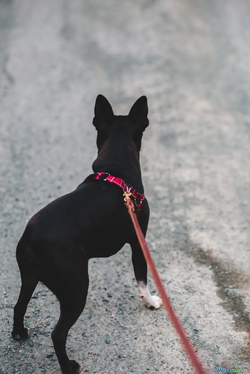 How to Recognize Early Signs of Pet Allergies