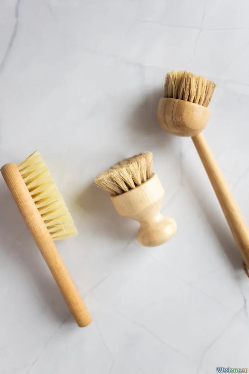 dry brush, routine, bathroom, natural bristles