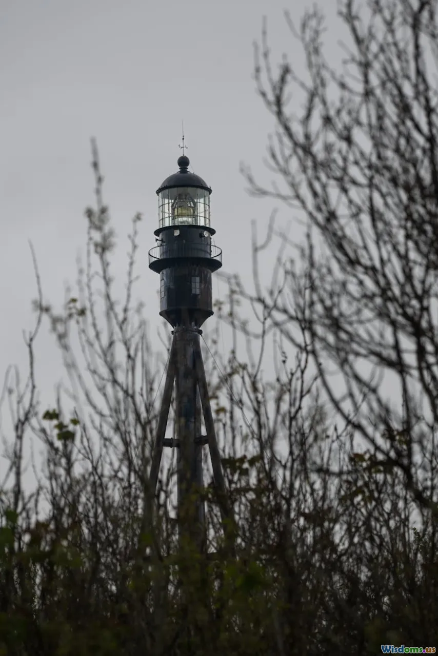 dsp, machine-learning, signal, inference