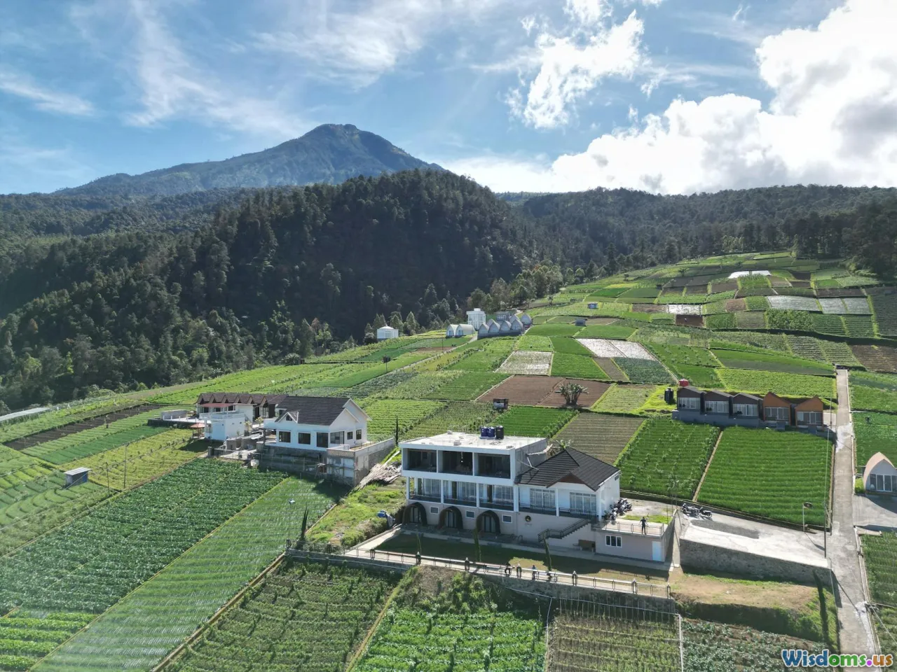 eco travel, budget travel, sustainable, rewilding