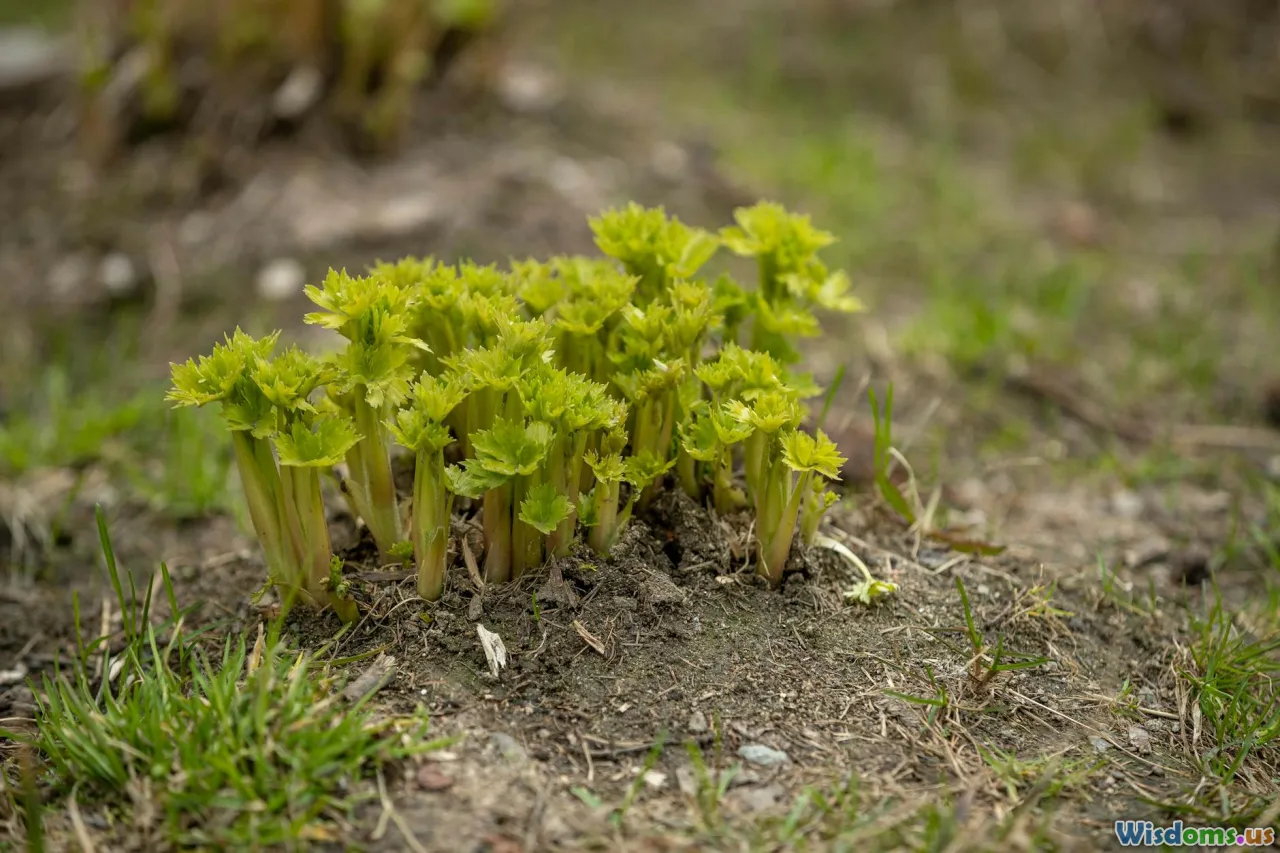 environment, sustainable fibers, green manufacturing, earth