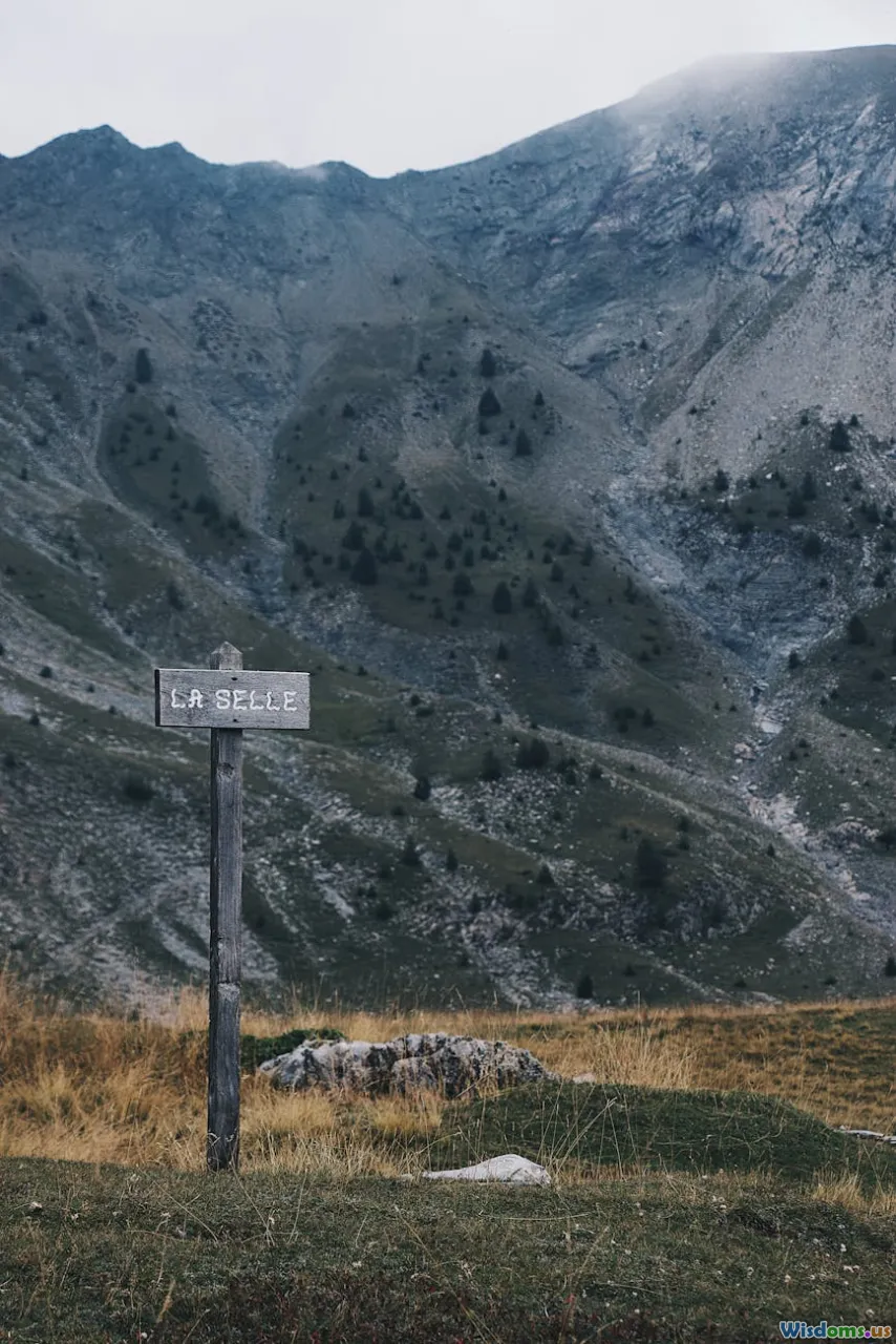 flora, weather, natural signs, wilderness