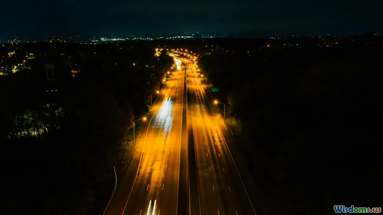highway lights, night traffic, bird migration, urban glow