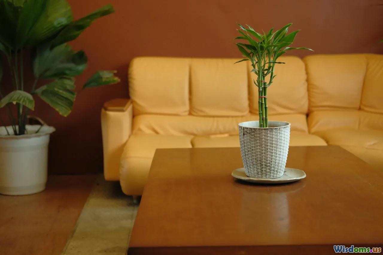 The Role of Decluttering in Staging Home Photos