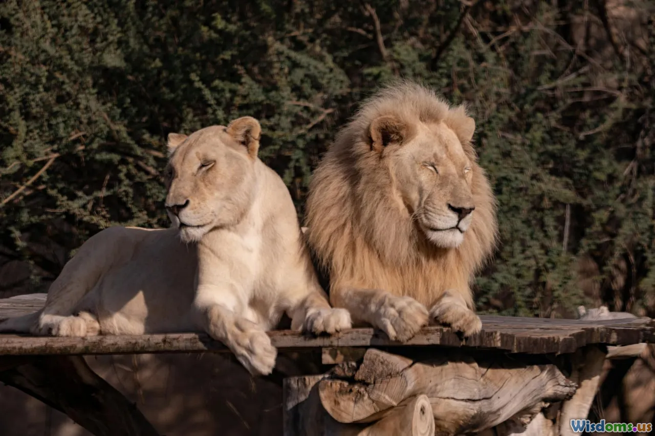 international meeting, zoo partnership, conservation summit, wildlife experts