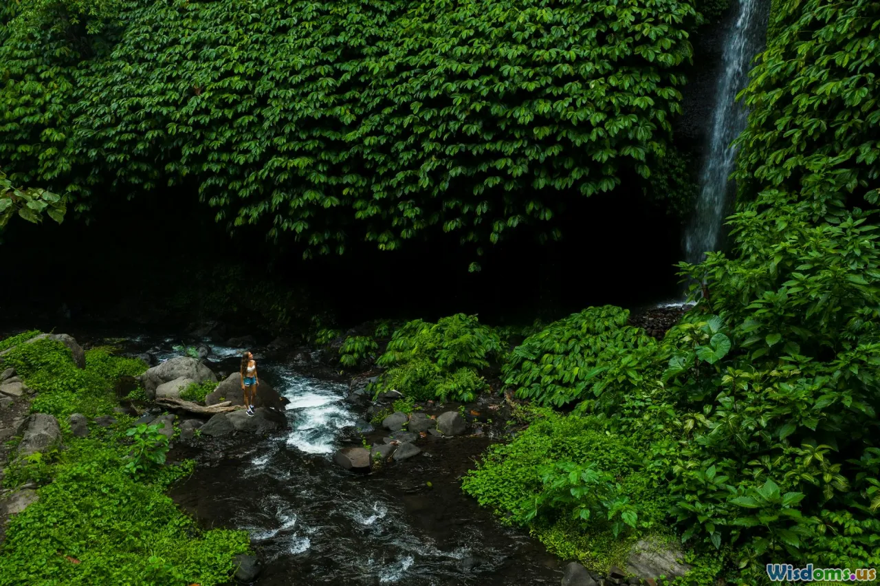 jungle river, clean water, water purification, rainwater