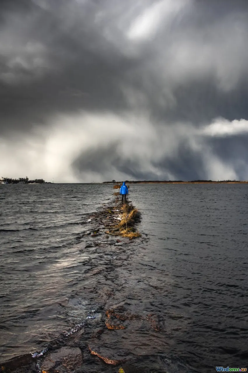 leadership, creativity, resilience, storm