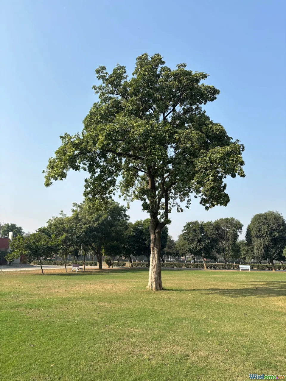 life support, environmental control, space habitat, oxygen recycling