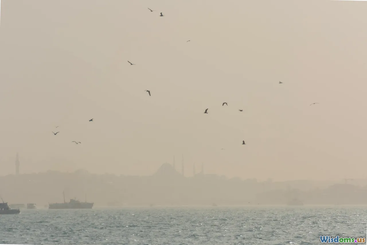 maritime fog, beam attenuation, atmosphere, sea haze