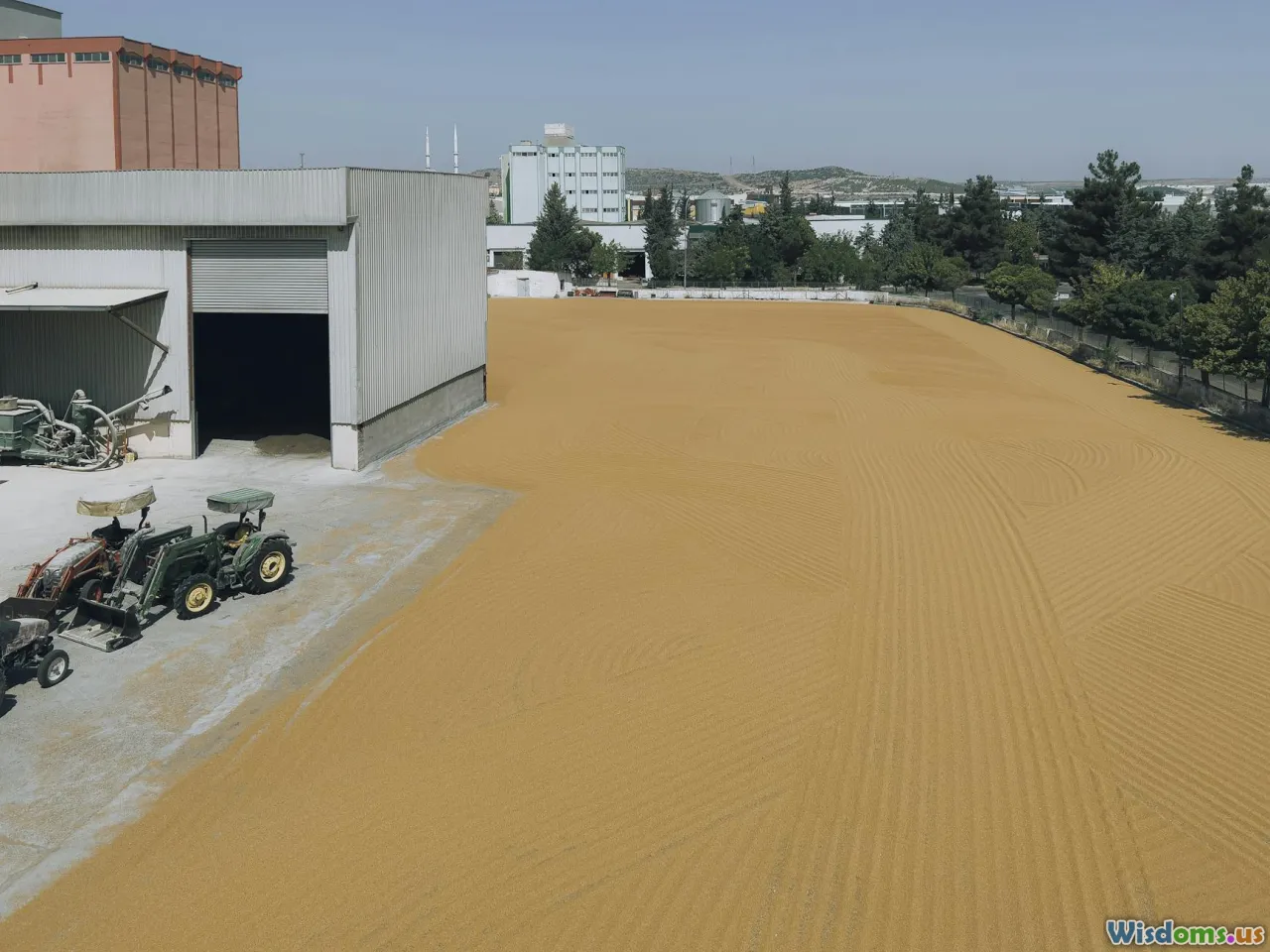 market scene, contract tablet, scales, grain fields