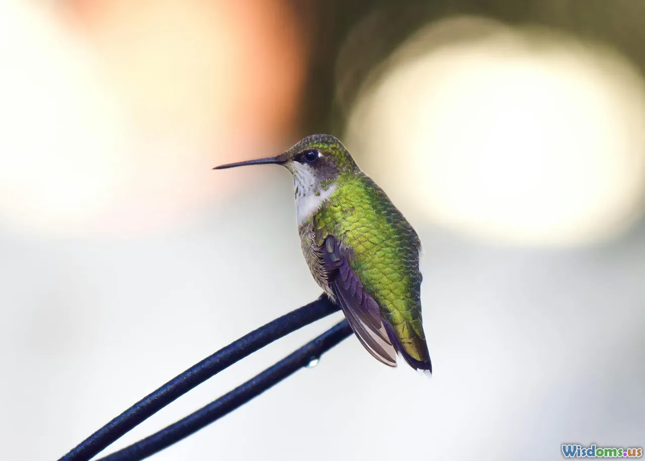 migration, upgrade, roadmap, checklist