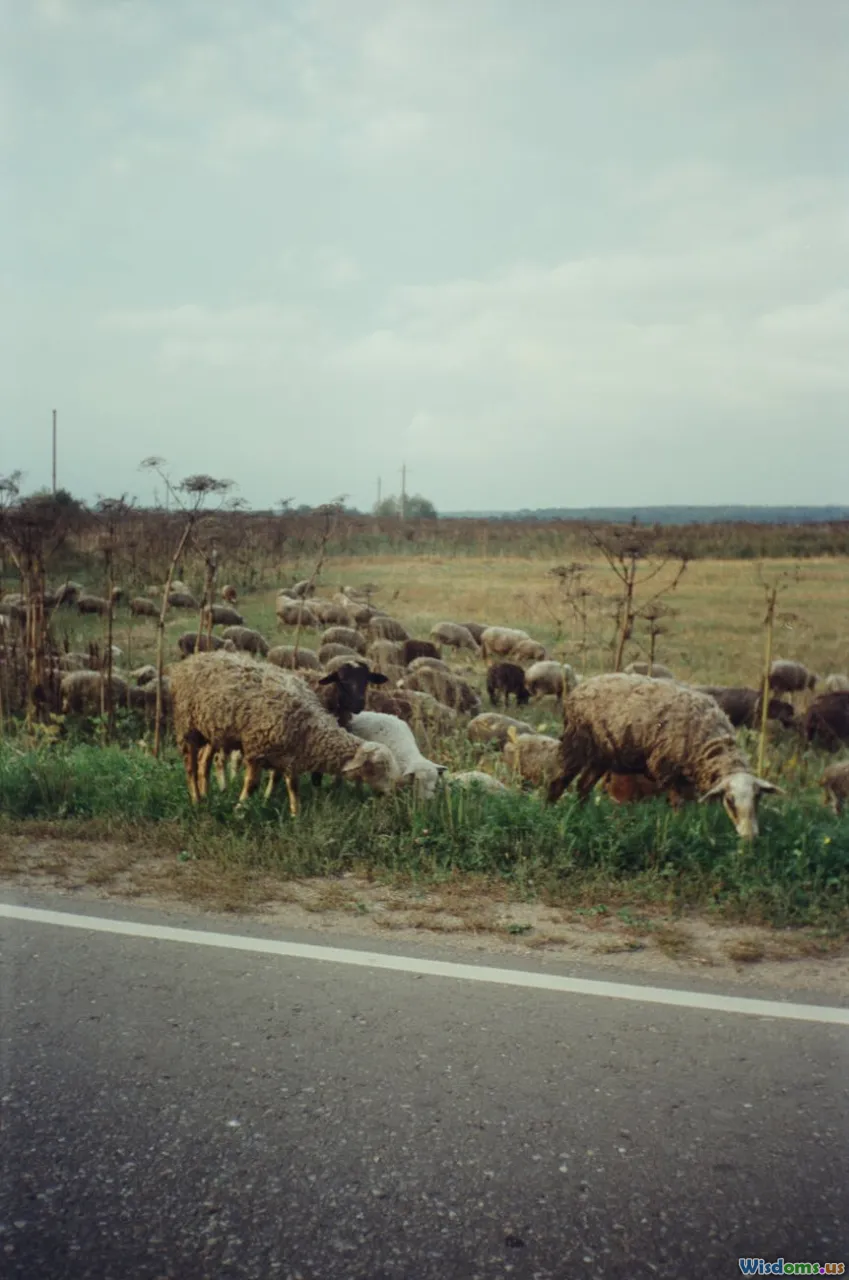 Moscow, farm, livestock, Russian countryside