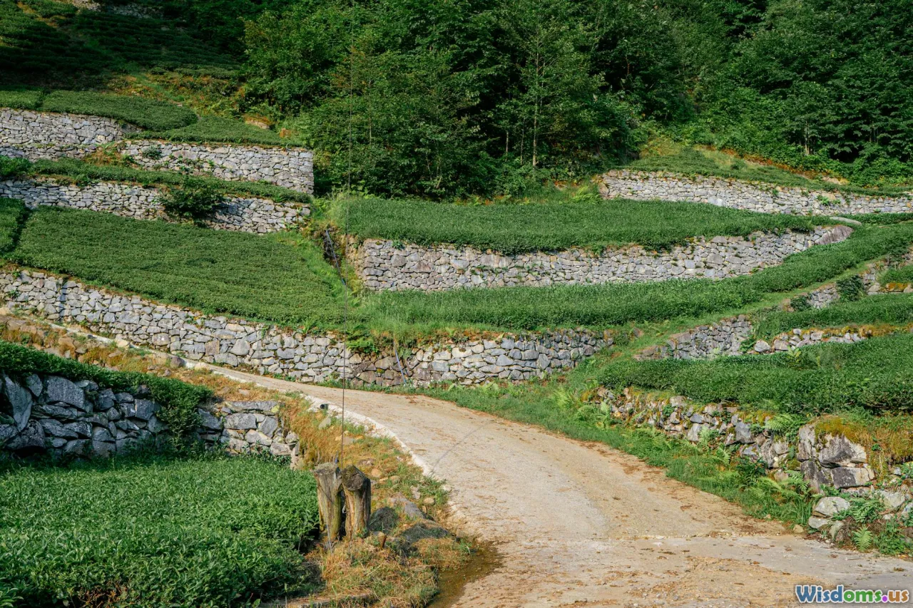 organic farming, permaculture, regenerative agriculture, fields, gardens