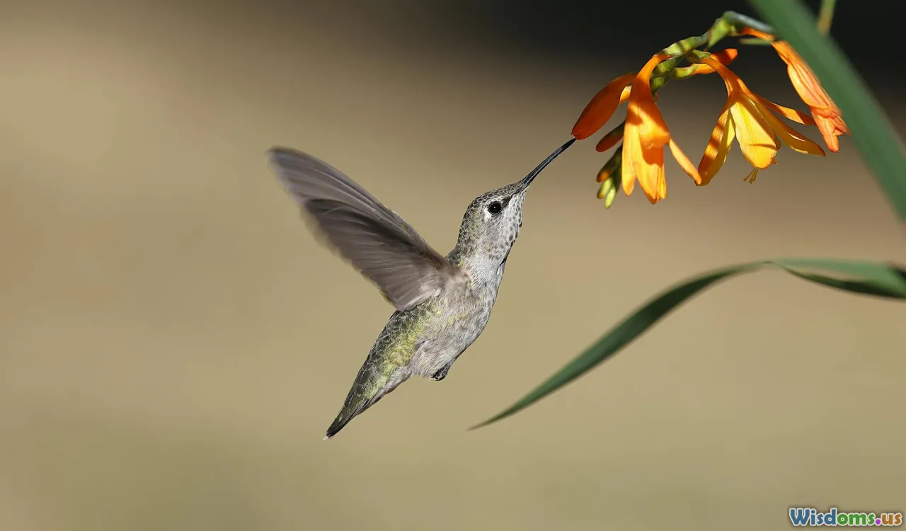 pollinators, compost, native flowers, green backyard