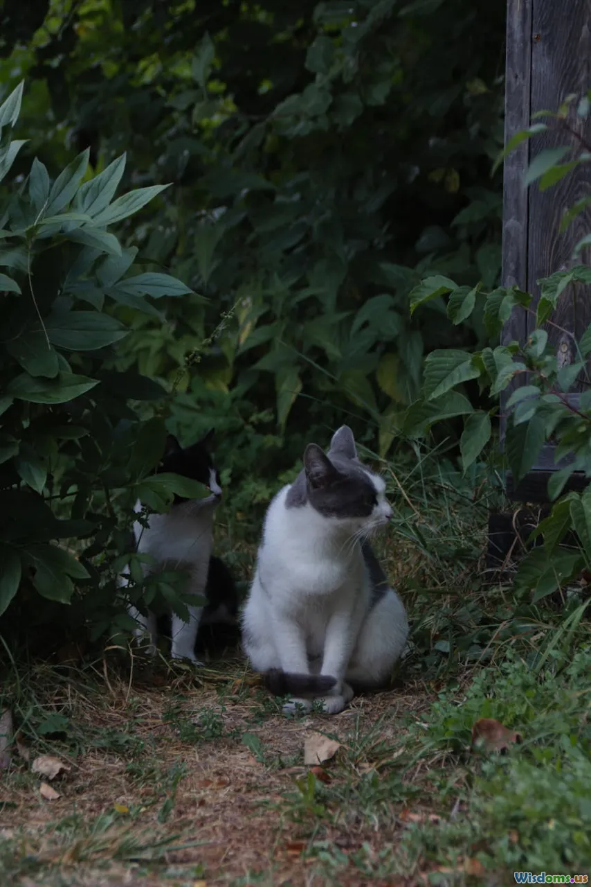 puppies, kittens, young pets, shelter animals