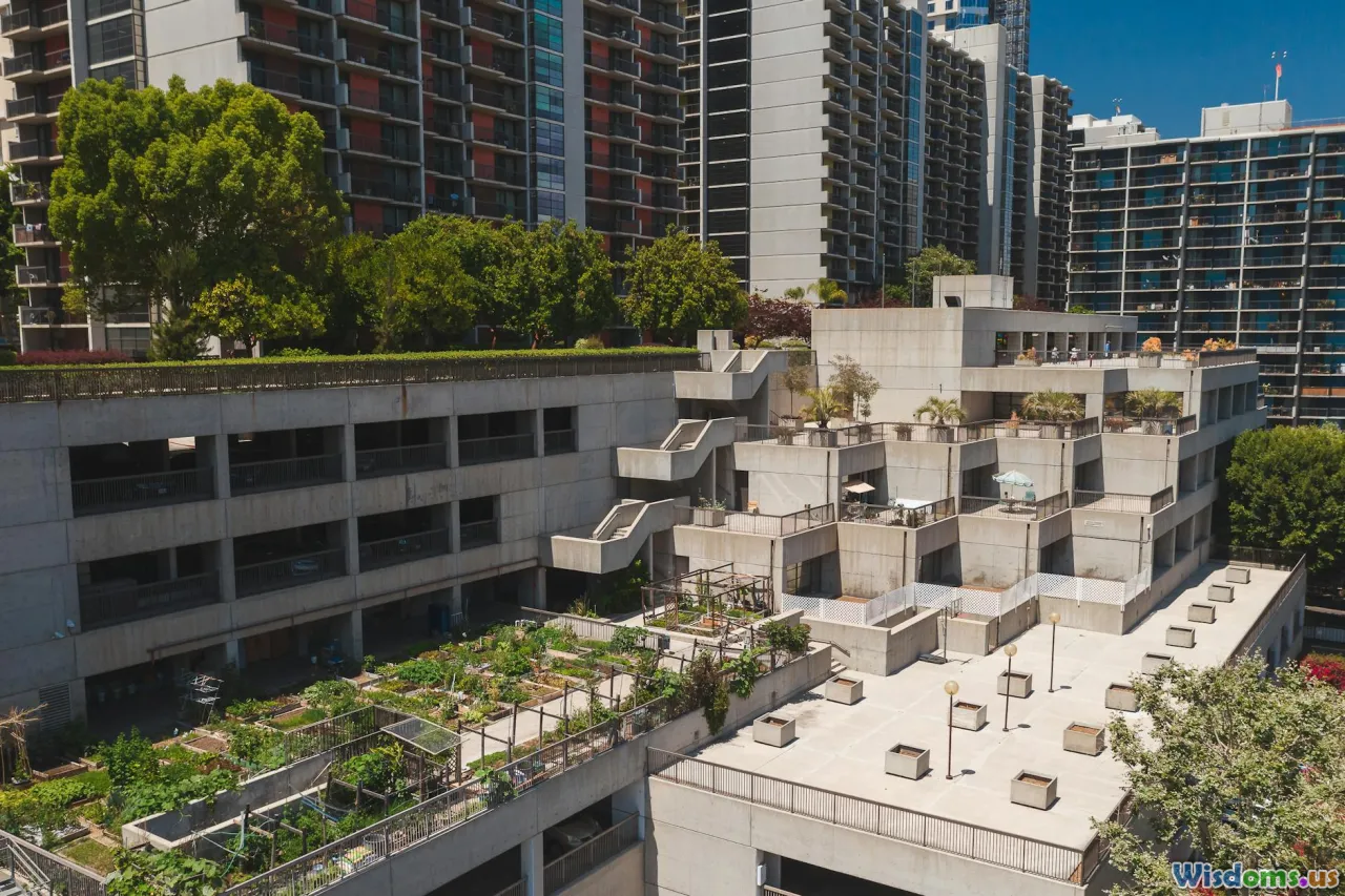 rooftop terrace, urban garden, city view