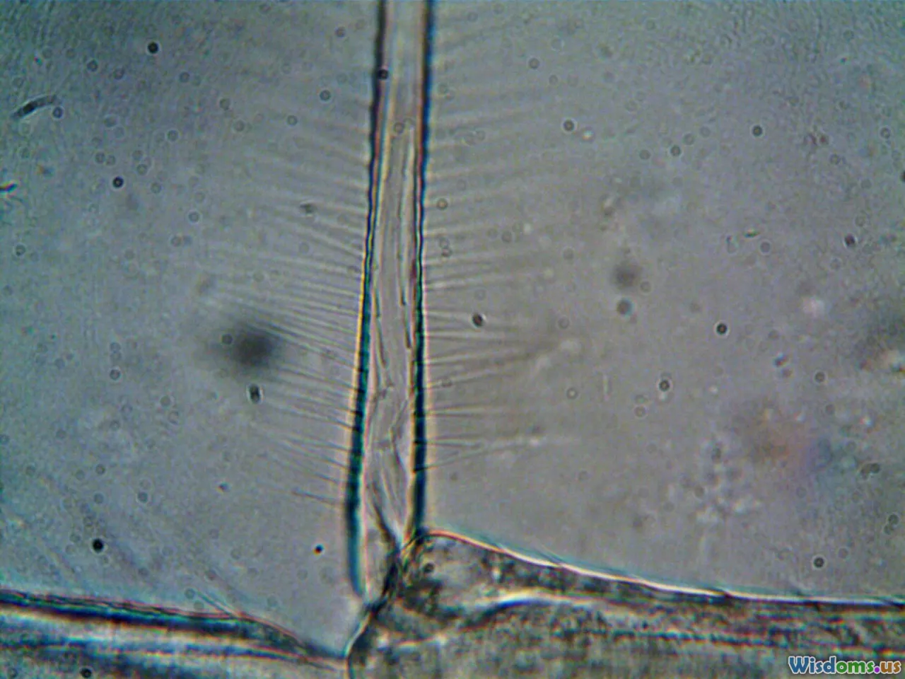 rti imaging, micro-ct, spectroscopy, microscopy