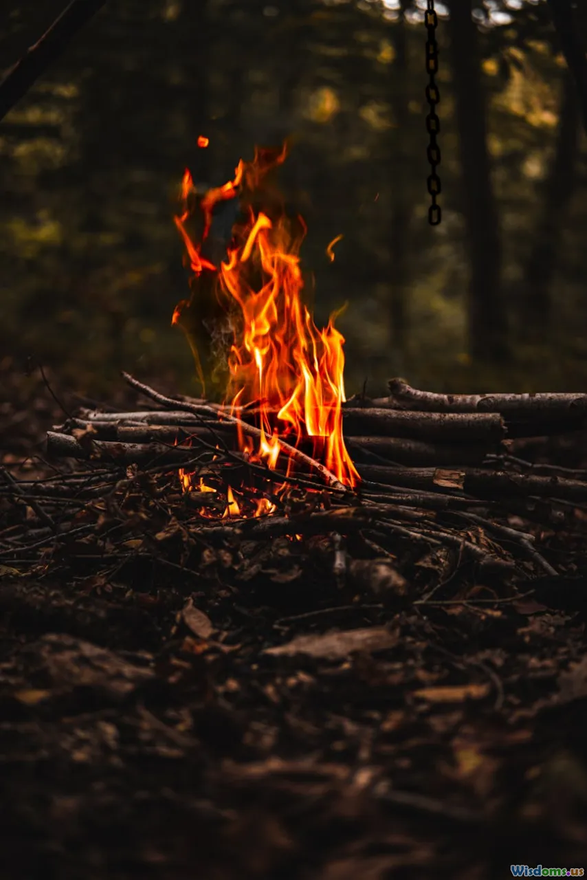 safety, wilderness, regulations, campfire
