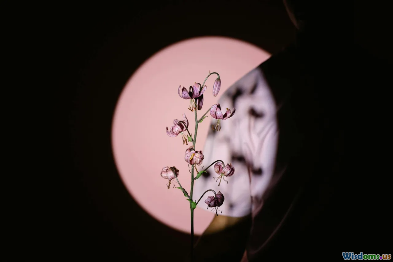 silhouette, design_language, thumbnails