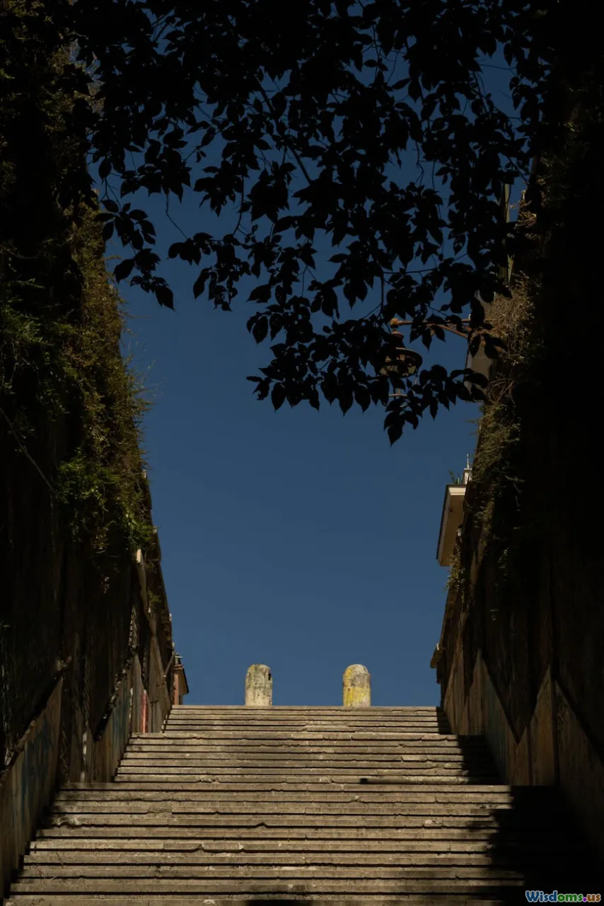 success, beginner progress, dashboard visualization, path forward