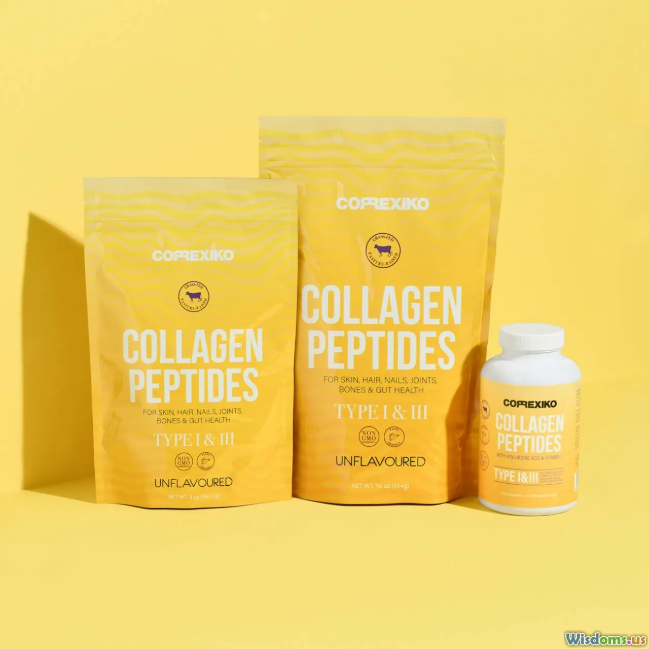 tendon, bone, collagen, rehab